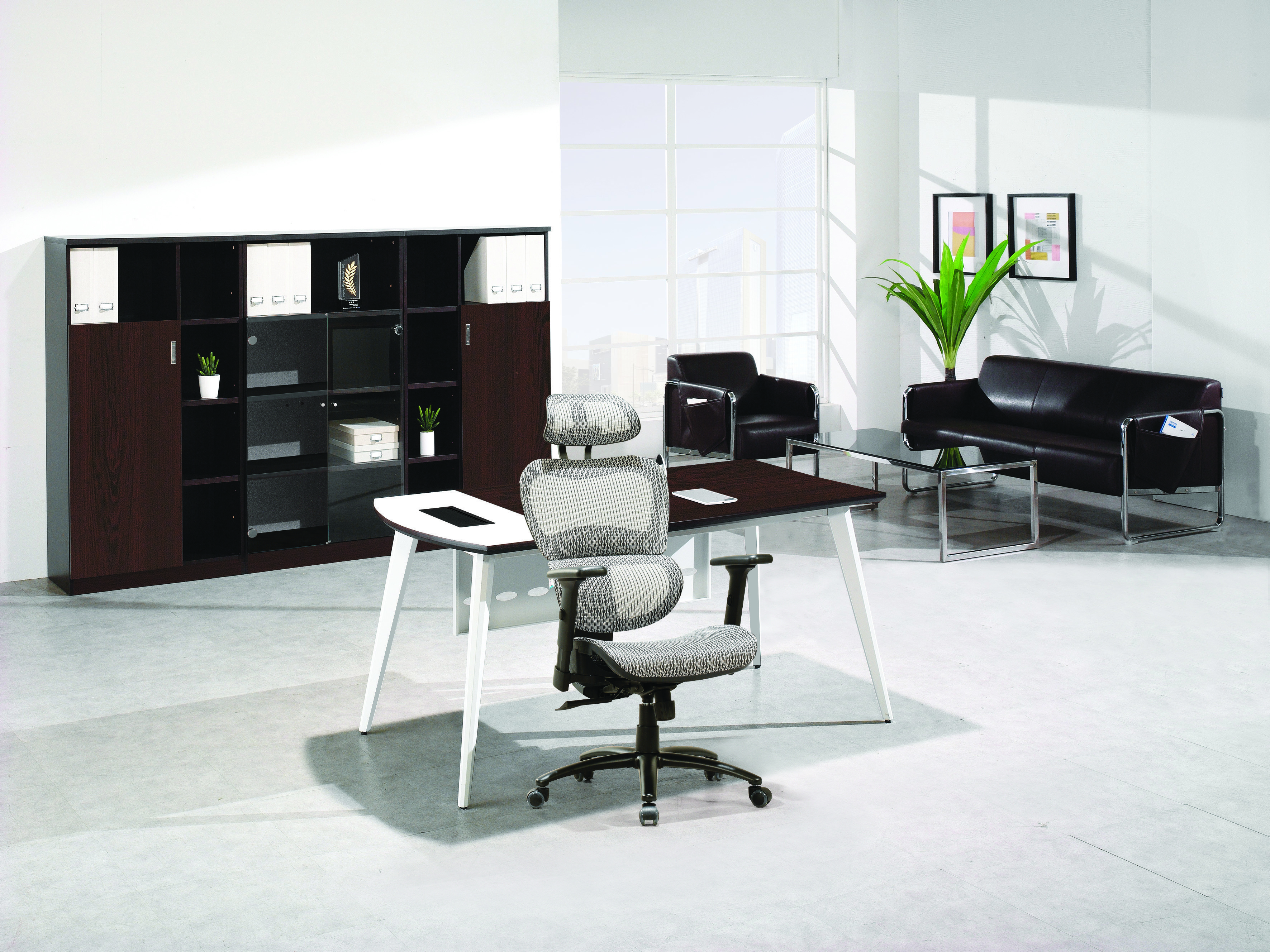 CAPW월넛 SET.3
